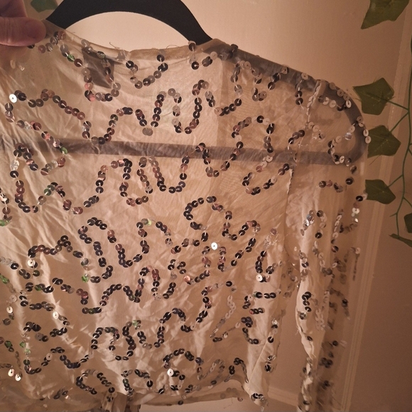 Sequin Tie-Front Sheer Creme Crop Top - Picture 6 of 12